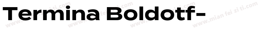 Termina Boldotf字体转换